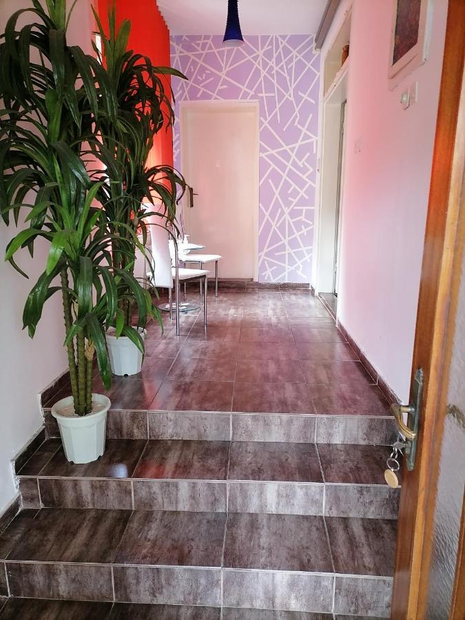 Smestaj U Okviru Domacinstva Sobe Sosa Palic Luaran gambar