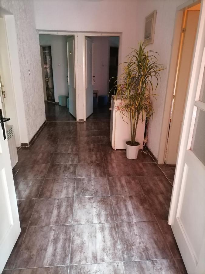 Smestaj U Okviru Domacinstva Sobe Sosa Palic Luaran gambar